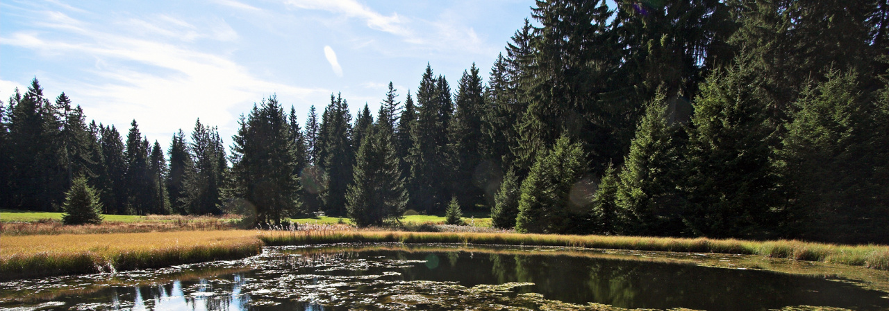 Preuzeto sa:Fotografija preuzeta sa: https://www.serbia.travel/sr/dozivi-srbiju/priroda/unesko-rezervati-biosfere